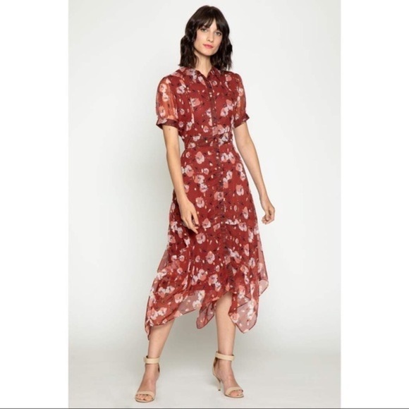 NWT WALTER BAKER Smith dress - Picture 1 of 10